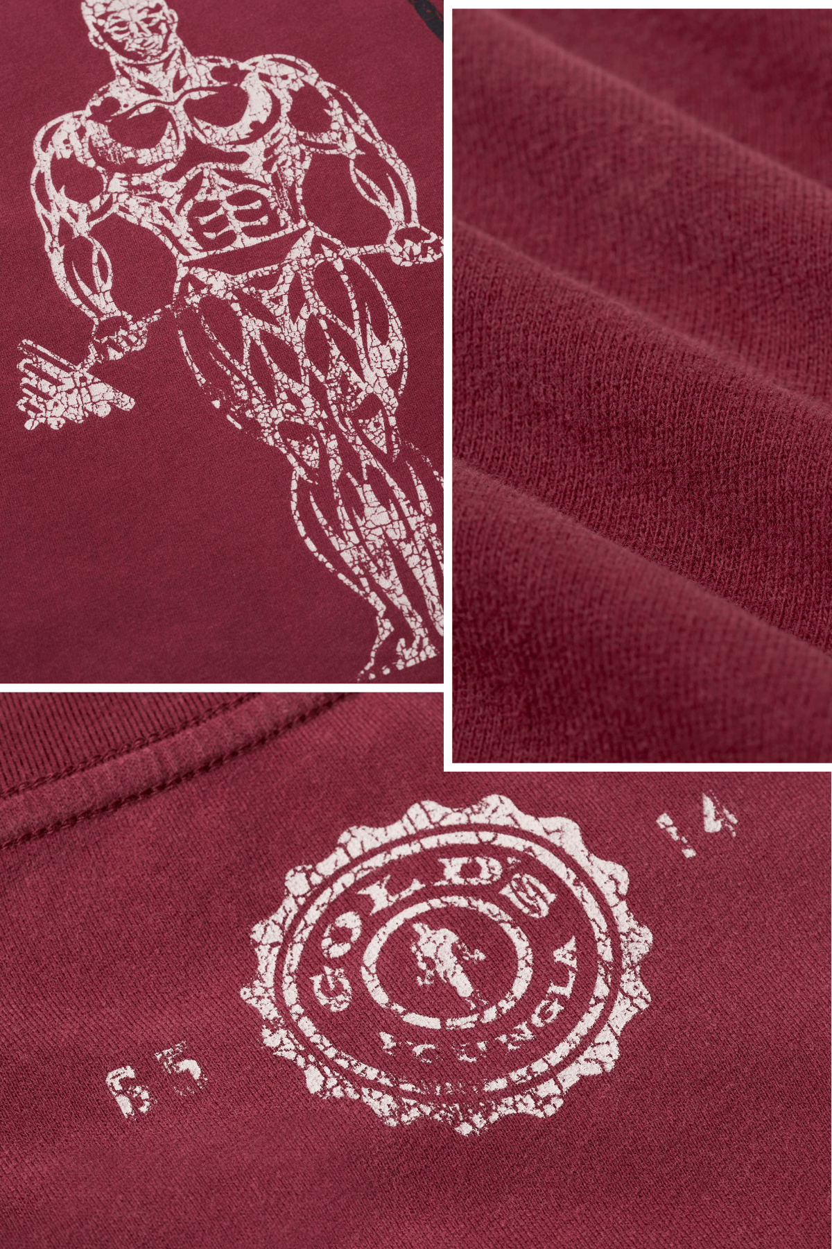 4213 - Gold's Iron Legacy Icon Tees - Image 5