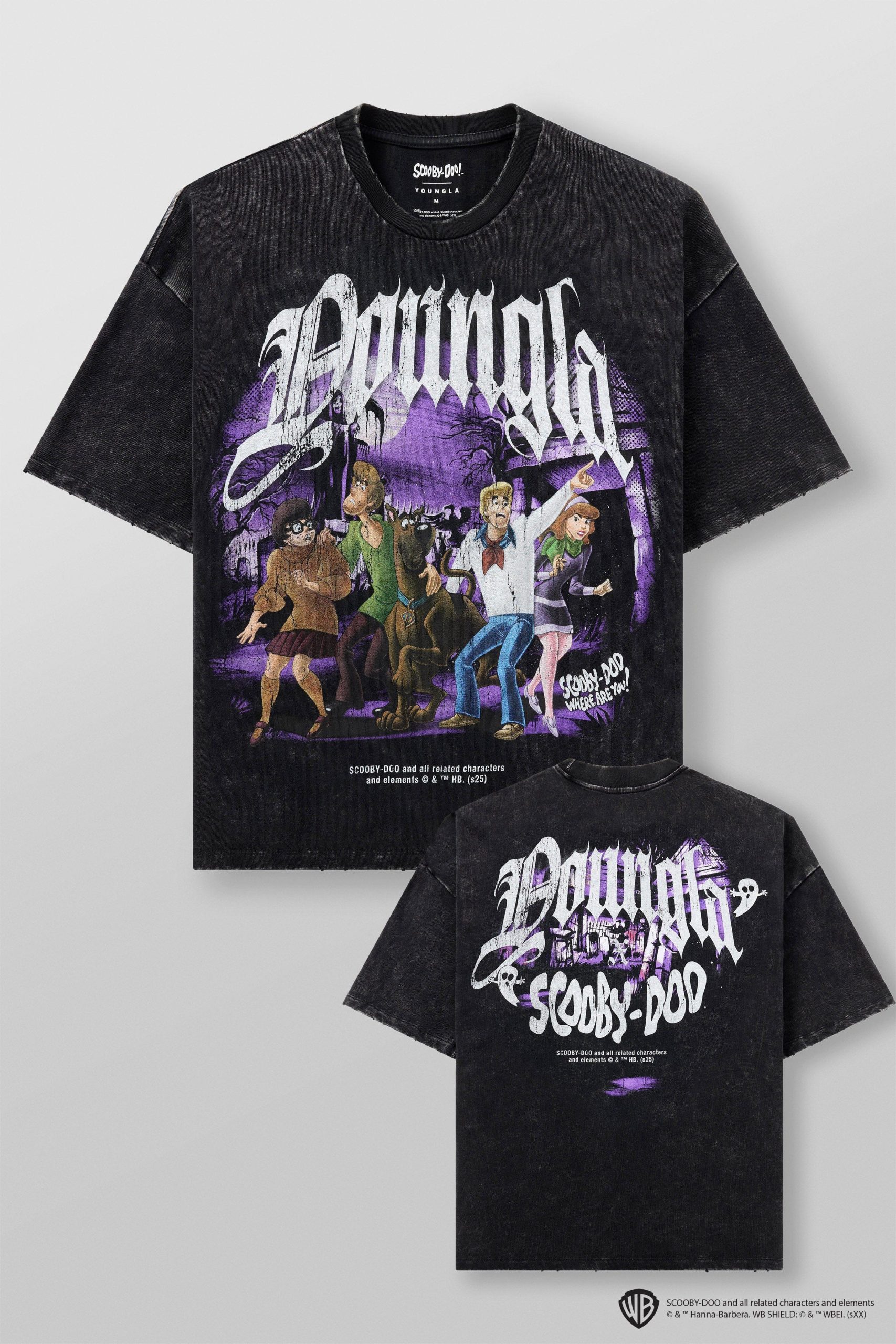 4252 - Scooby-Doo Tees - Image 9