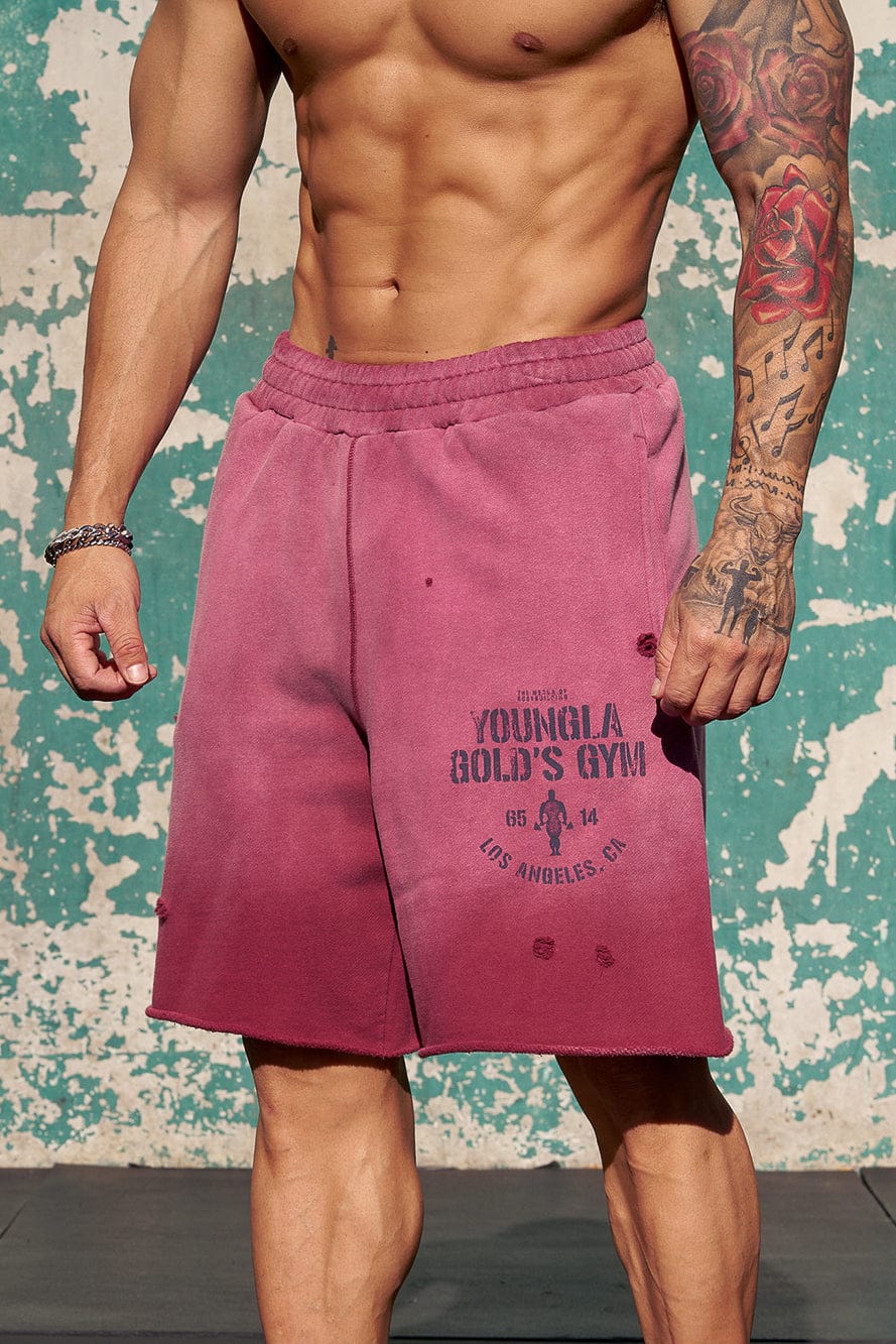 1014 - Gold's Iron Legacy Shorts - Image 7